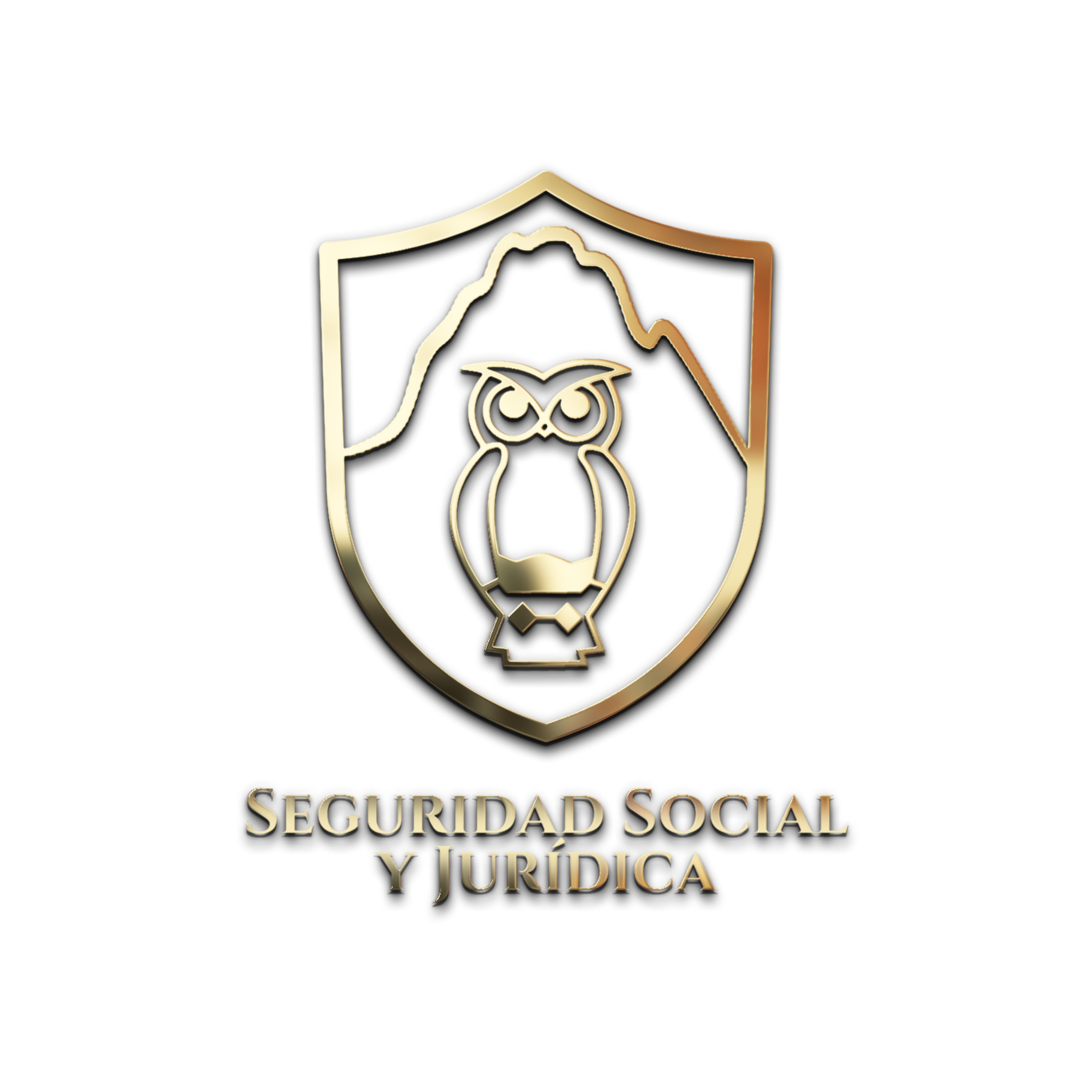 Seguridad Social y Jurídica